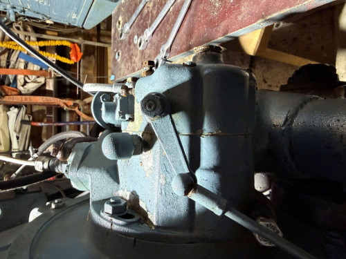 Alldog Regler,,,.jpg